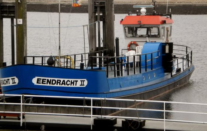 Vissen najaar 2021 Vissen najaar 2021