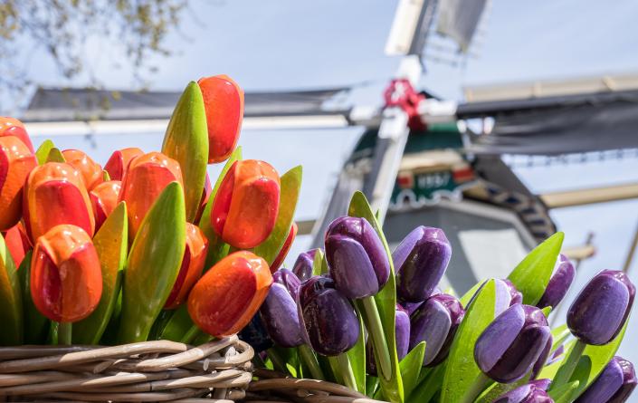 Keukenhof Keukenhof